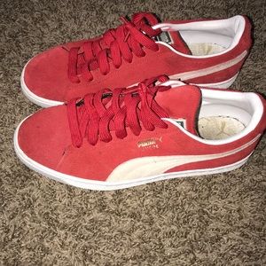 Red pumas